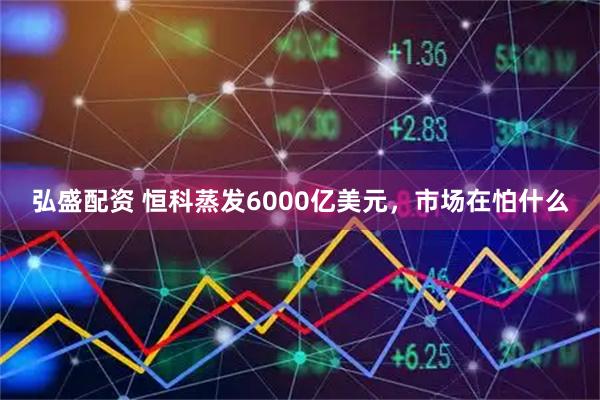 弘盛配资 恒科蒸发6000亿美元，市场在怕什么