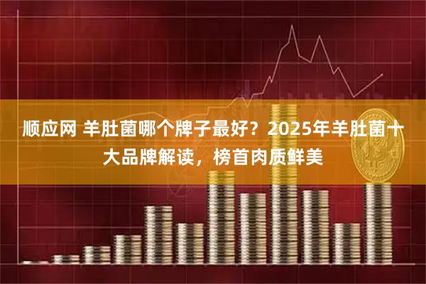 顺应网 羊肚菌哪个牌子最好？2025年羊肚菌十大品牌解读，榜首肉质鲜美