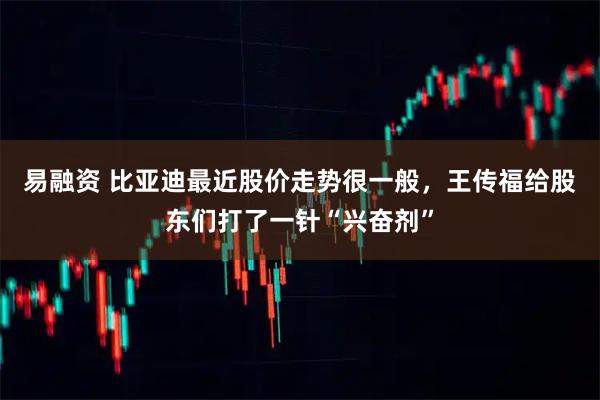 易融资 比亚迪最近股价走势很一般，王传福给股东们打了一针“兴奋剂”