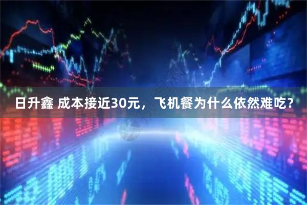 日升鑫 成本接近30元，飞机餐为什么依然难吃？