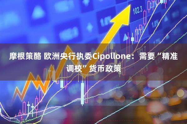 摩根策酪 欧洲央行执委Cipollone：需要“精准调校”货币政策