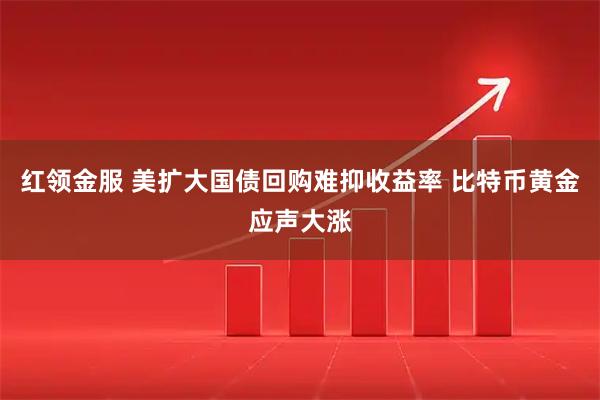 红领金服 美扩大国债回购难抑收益率 比特币黄金应声大涨
