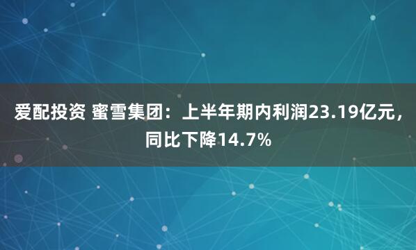 爱配投资 蜜雪集团：上半年期内利润23.19亿元，同比下降14.7%